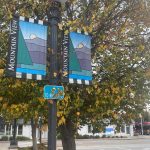 La aventura de Stanford