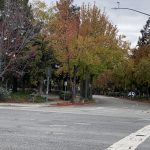 La aventura de Stanford